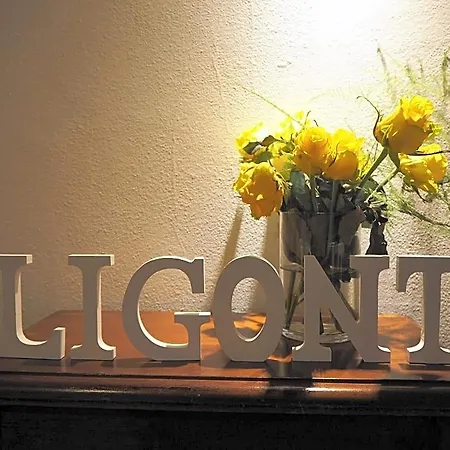 Ligont Budoia